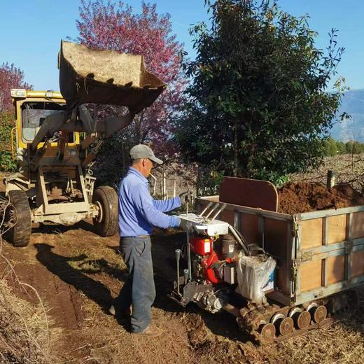 天赋高原有机猕猴桃  “猕”足珍贵，海拔给的底气 不打药不套袋 吃的就是自然 商品图12