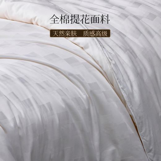 多喜爱 倾颜蚕丝大豆被/冬被/子母被【蚕丝+大豆填充】【全棉面料】【织带工艺】【精致绗缝】【精美烫钻】 轻盈蓬松 柔暖亲肤 商品图1