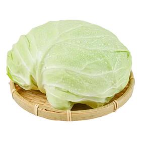 有机水果甘蓝 500g/份