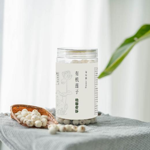 【今年新莲子】有机莲子| 有机种植，香气浓郁，特别适合煲汤，莲子桂圆滋补组合。顺丰/京东快递 商品图5