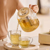 康宁WORLD 玻璃花茶壶 精煮鲜炖全在行养生壶 商品缩略图3