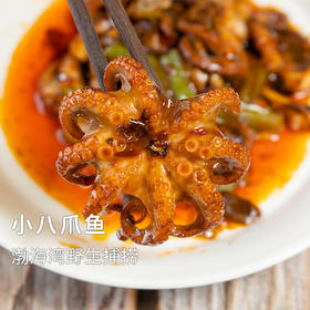 【任选4份包邮】小八爪鱼丨渤海湾野生 不泡任何东西⭐️顺丰快递