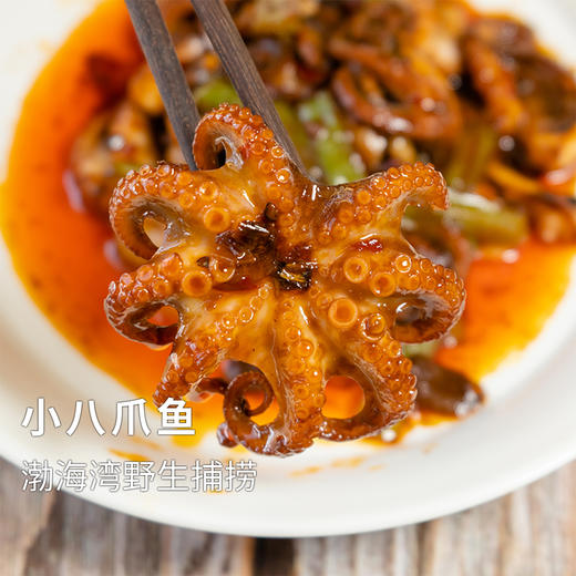【任选4份包邮】小八爪鱼丨渤海湾野生 不泡任何东西⭐️顺丰快递 商品图0