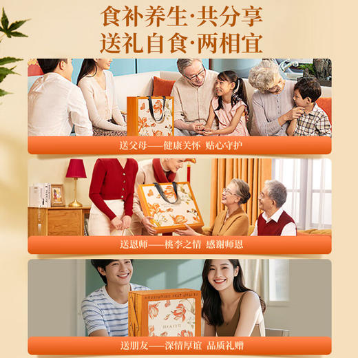 神农金康 人参西洋参鱼胶藏红花红参石斛十拼礼盒288g年货礼品送礼送长辈 商品图7