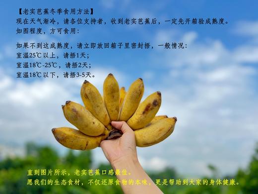 生态芭蕉丨生态种植，个头小有籽，香甜软糯，回味微酸，层次感丰富，需要自行催熟，成熟后出现黄斑、黑斑等属于正常现象，黑斑越多成熟度越高越好吃，⭐️顺丰陆运 商品图6