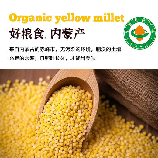 有机黄小米 商品图1
