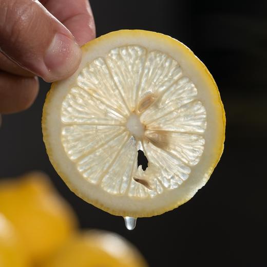 鲜柠檬丨个大新鲜不打蜡，已通过农残检测，欧盟有机认证GAP，⭐️中通快递 商品图4