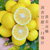 黄金贡柚丑丑的外表甜甜的”内心“果型扁圆色泽金黄 柚香浓郁清香甘甜口感独特送礼馈赠佳品 商品缩略图0