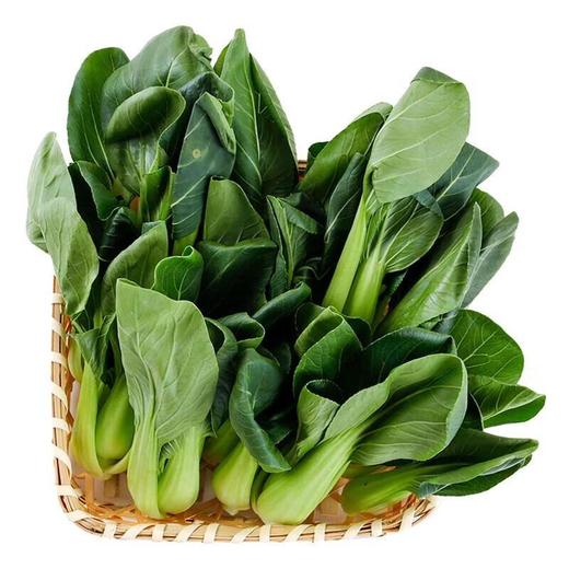 那云那南有机上海青苗 250g/份 商品图2