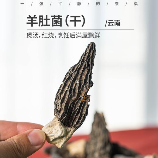羊肚菌（干货）| 可以煲汤，红烧，炒、炖、蒸，烹饪后满屋飘鲜，⭐️中通/韵达随机 商品图0