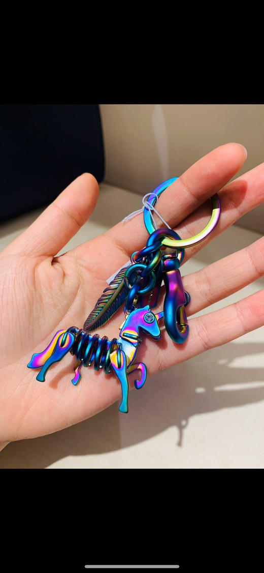 【2月3日 下午17:00 秒杀】2款coach重工挂件 奉上  彩虹独角兽 剑龙 挂件钥匙扣 商品图6