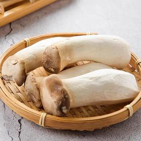 那云那南有机杏鲍菇 200g/份