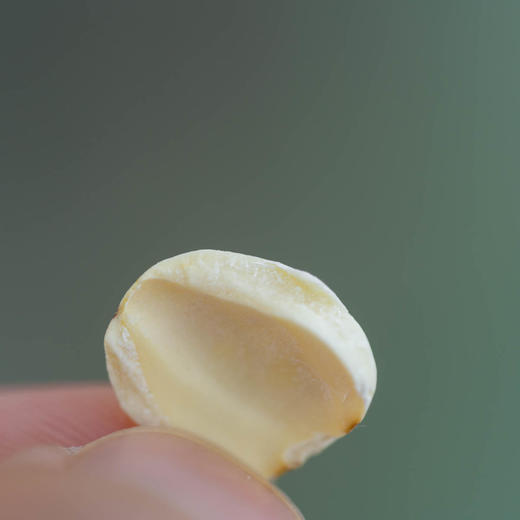 【今年新莲子】有机莲子| 有机种植，香气浓郁，特别适合煲汤，莲子桂圆滋补组合。顺丰/京东快递 商品图4