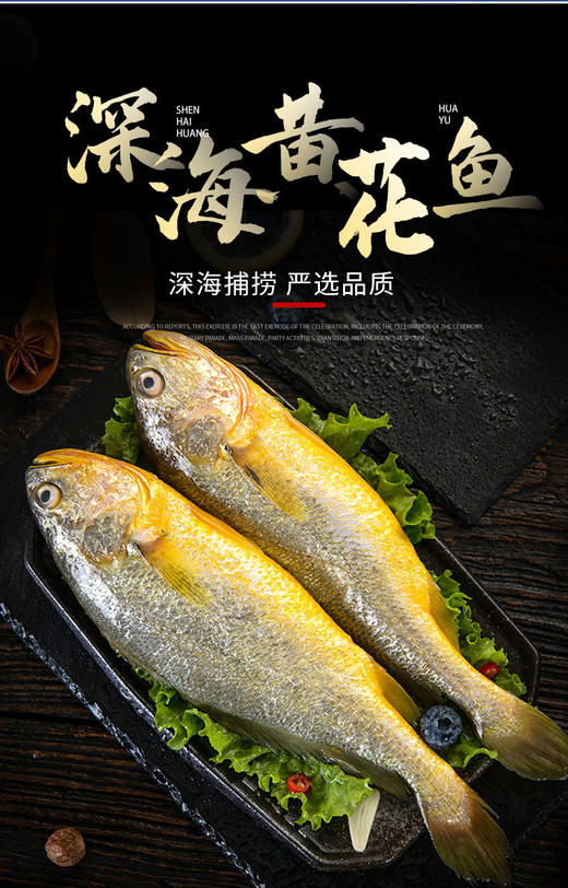 鲜活速冻锁鲜生态大黄鱼550g*3条 商品图3