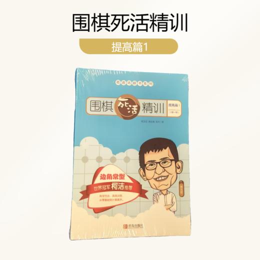 围棋死活题书籍（柯洁推荐，送20个小天分析或棋谱海报） 商品图2
