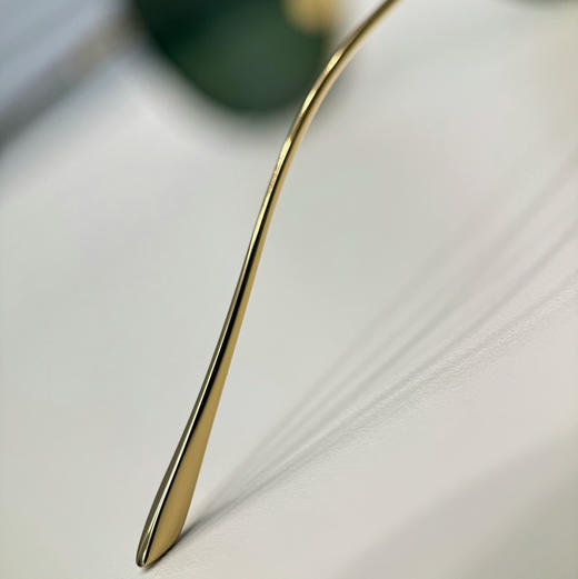 新款 Cartier卡地亚 新款太阳镜 商品图11