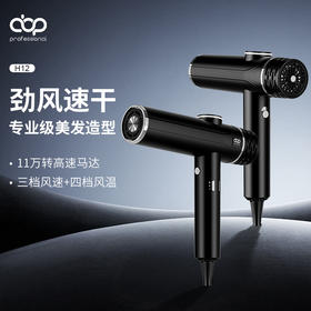 ABP高速吹风机H12/专业沙龙发型师专用负离子护发大功率发型师吹风机