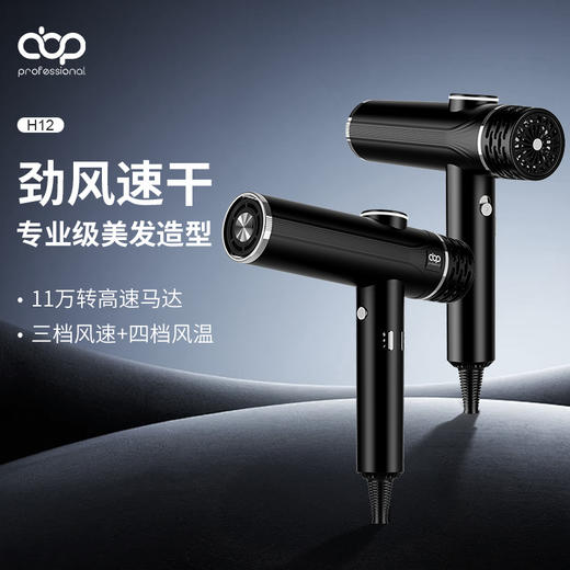 ABP高速吹风机H12/专业沙龙发型师专用负离子护发大功率发型师吹风机 商品图0