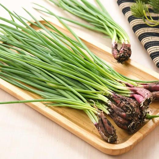 有机小葱 100g/袋 商品图0