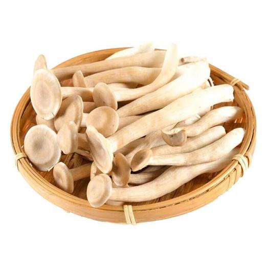 那云那南有机鹿茸菇 120g/份 商品图0