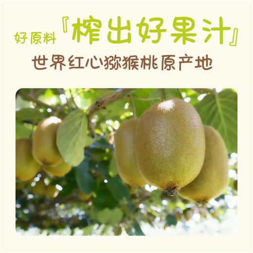 【甄选】叽里咕噜NFC猕猴桃汁NFC雪梨汁不额外添加水 0添加0防腐 好果榨好汁 开瓶即饮儿童果汁 清润甘甜，甜中带香 商品图3