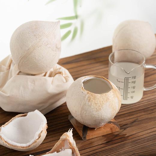 泰国奶香椰皇丨汁水清新甘甜细腻，椰肉白润鲜嫩，从外吃到内的水嫩，浓郁的椰香充盈口腔，⭐️顺丰快递，泡沫箱发货 商品图3