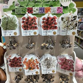 播种希望许愿瓶种子（花草）