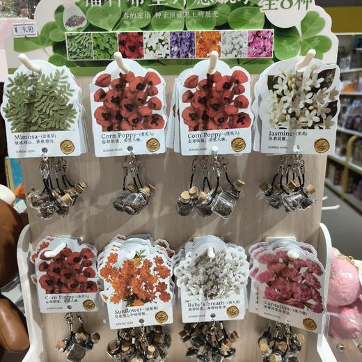播种希望许愿瓶种子（花草） 商品图0
