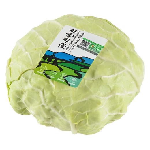 那云那南有机水果甘蓝 500g/份 商品图1