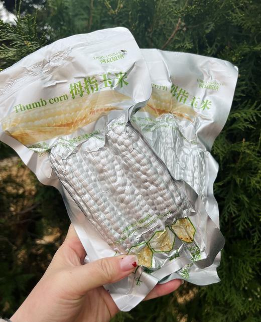 拇指玉米丨低产量的老品种玉米，泉水蒸煮，嫩、糯、甜，真空包装，一次一根刚刚好！⭐️韵达/中通/申通随机 商品图9