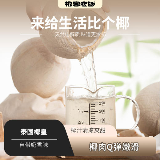泰国奶香椰皇丨汁水清新甘甜细腻，椰肉白润鲜嫩，从外吃到内的水嫩，浓郁的椰香充盈口腔，⭐️顺丰快递，泡沫箱发货 商品图0