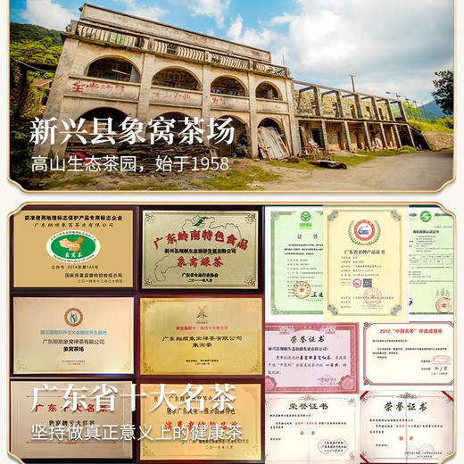 【优质广货】象窝有机甘醇红茶 商品图4