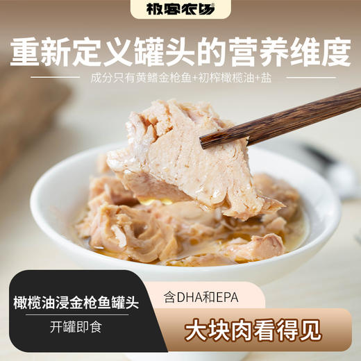 定制款油浸金枪鱼罐头| 初榨橄榄油浸黄鳍金枪鱼，肉质细腻、口感鲜美，优质脂肪、低碳水⭐️顺丰快递 商品图0