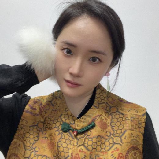 【咕咕同款】NANSONGSILK/NS新中式新款复古提花立领民族风百搭宽松马甲M1D539730X南宋 商品图10