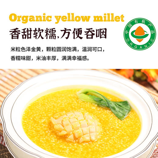 有机黄小米 商品图2
