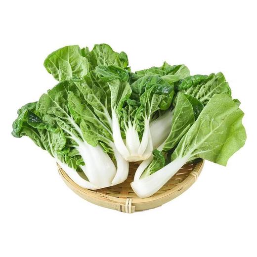 那云那南有机奶白菜 250g/份 商品图4