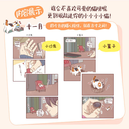 我家有只拇指猫 冬天卷 迷你三花猫漫画绘本 丸77动漫作品礼物漫画 猫咪漫画松弛感萌宠猫猫狗狗解压暖心缓解焦虑 商品图2