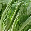 有机小白菜 250g/袋 商品缩略图1