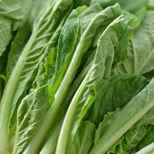 有机小白菜 250g/袋 商品图1