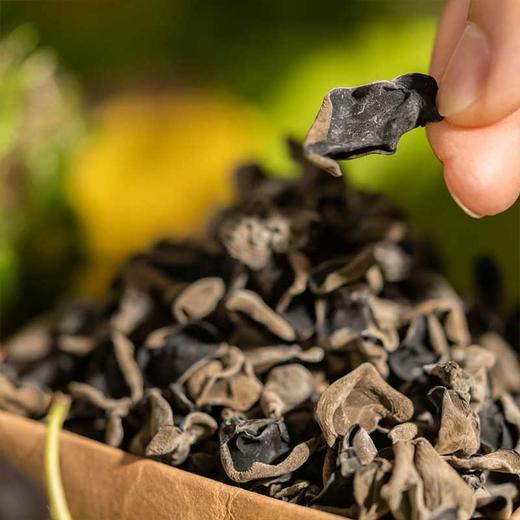 长白山椴树木耳丨生长于长白的森林深处，当地椴树种菌后自然生长，肉质紧实，⭐️中通快递 商品图2