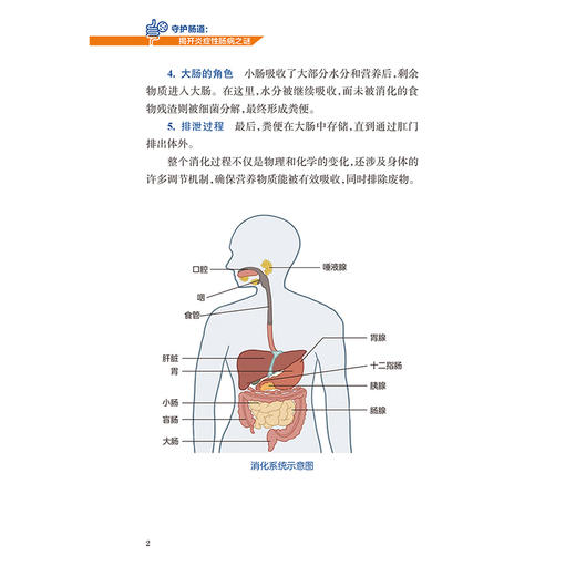守护肠道：揭开炎症性肠病之谜 白飞虎 主编 本书适合公众以及对炎症性肠病感兴趣的医疗从业者 9787117390958 人民卫生出版社 商品图4