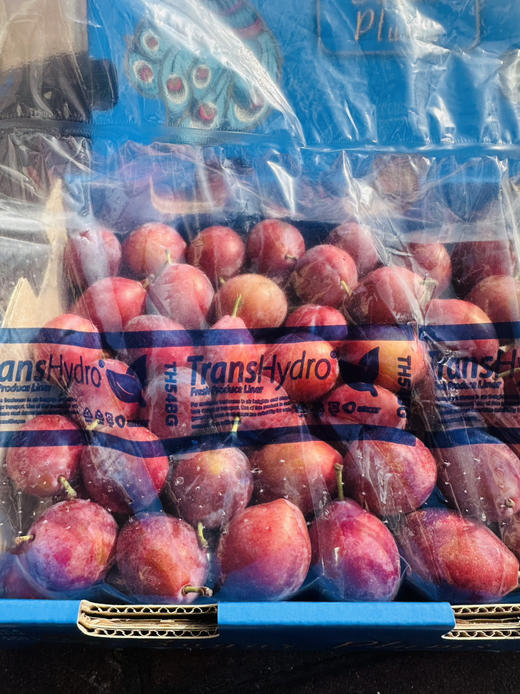 智利甜西梅 商品图10