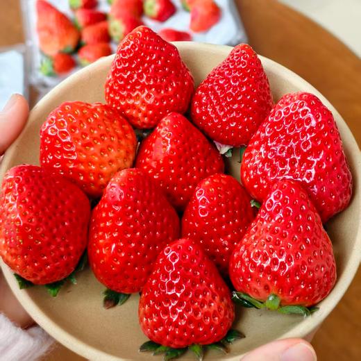【建德草莓 助农帮扶 】馋了一年的建德红颜草莓甜蜜上市！现摘现发 顺丰直达，高颜值，香甜多汁！（中/大/特大果3盒净重2.8斤以上） 商品图1