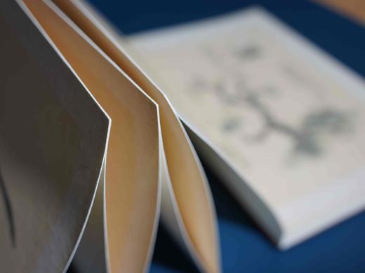 【重磅推荐】“稀见彩绘本选粹”第一部：《南方草木状图》，册页装，全一册，[晋]嵇含撰，浙江古籍出版社2025年10月一版一印，定价1280，售价880元。 商品图13