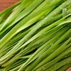 有机韭菜 250g/份 商品缩略图4