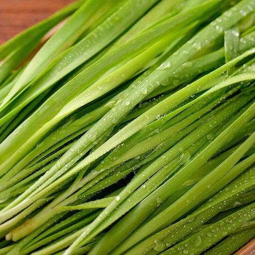 有机韭菜 250g/份 商品图4