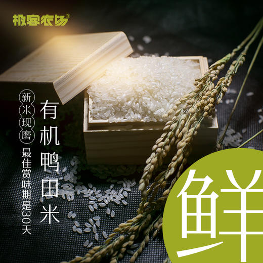 有机鸭田鲜米| 米和水比例在1:1～1.2 古法共做  现磨现发   粗磨保留胚芽和微量稻壳 种植生产双认证  稻花香 香甜软糯  5斤家庭装⭐️中通/顺丰快递 商品图1