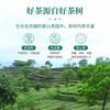 【优质广货】象窝有机清香绿茶 商品缩略图4
