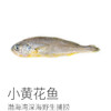 【4份包邮】小黄花鱼500g 渤海湾深海野生捕捞，跟养殖的大黄花鱼不一样⭐️顺丰快递 商品缩略图5
