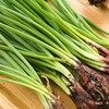 有机小葱 100g/袋 商品缩略图1